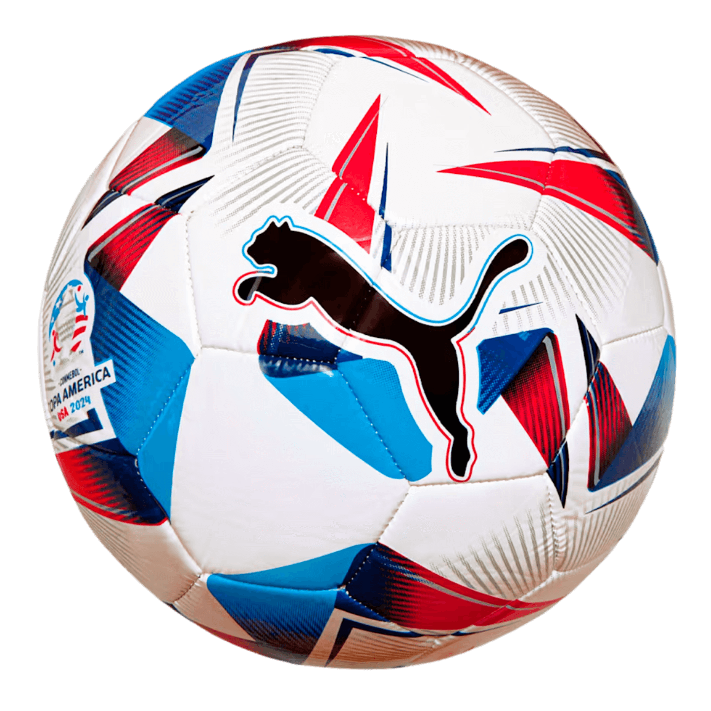 Puma Cumbre CONMEBOL Copa America Training Ball