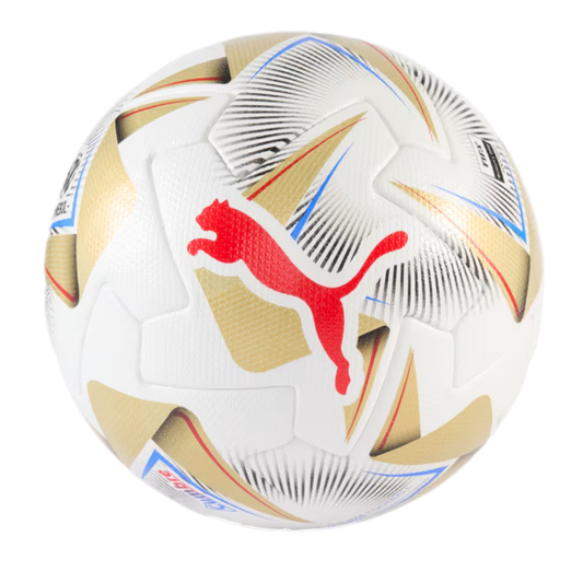 Puma Cumbre CONMEBOL Copa America FIFA Match Ball