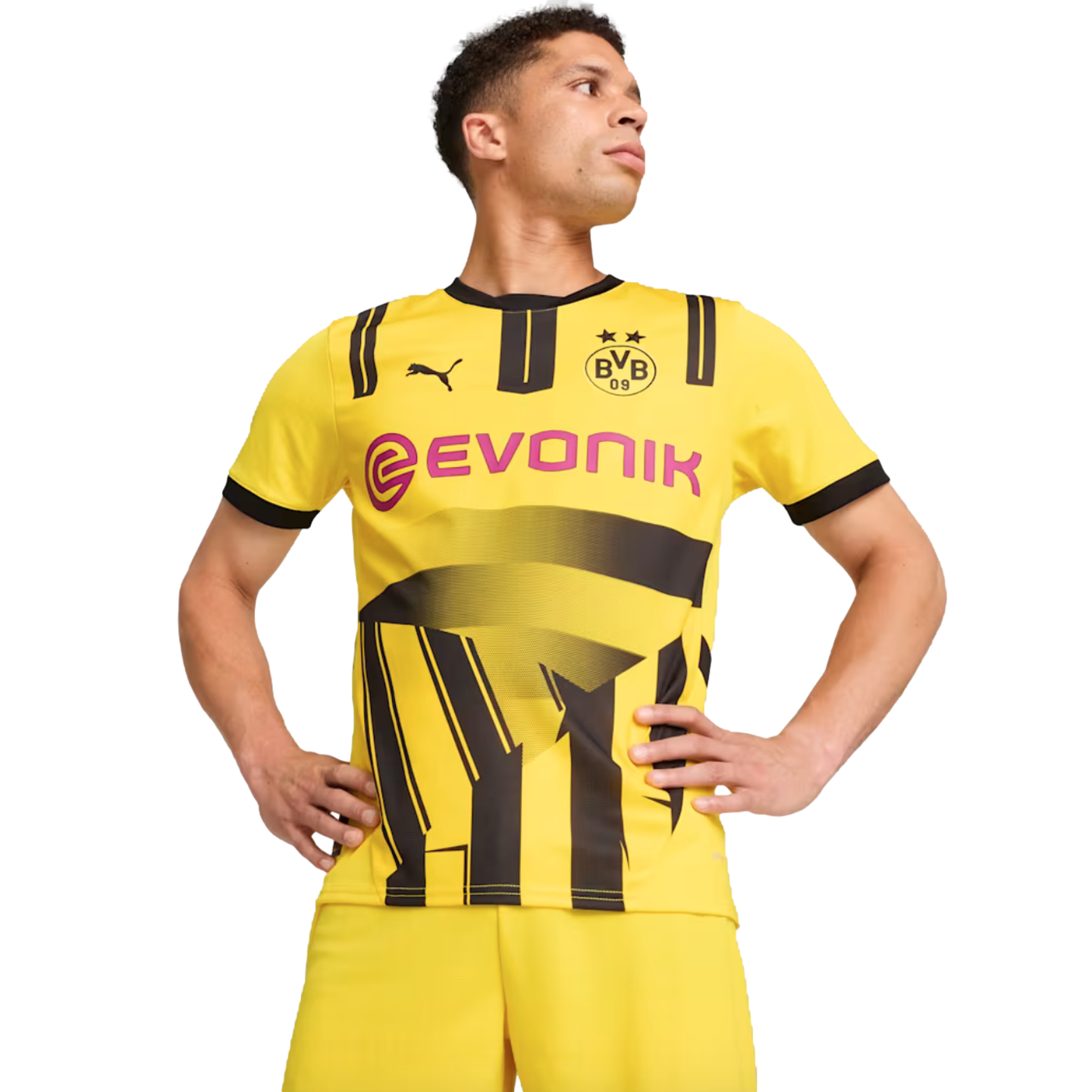 Réplica de la camiseta de la Copa del Borussia Dortmund 24/25 de Puma