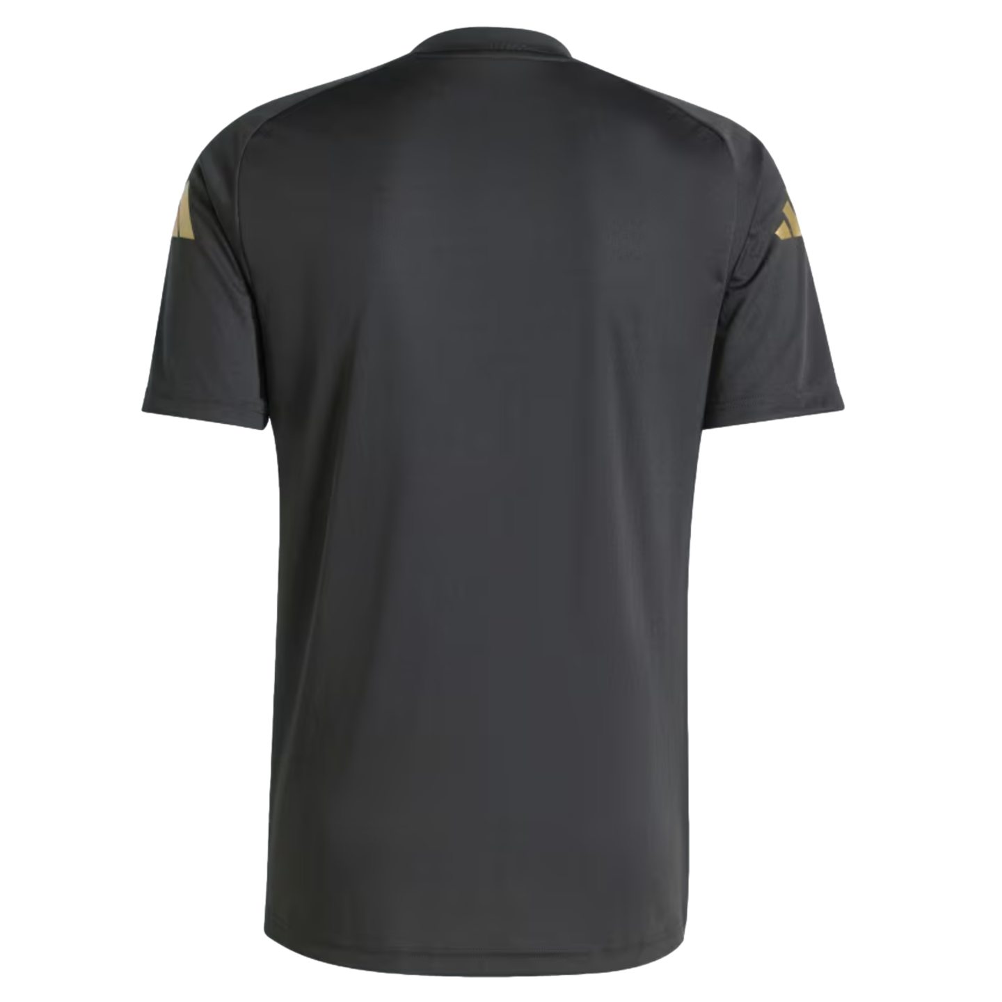 Adidas Argentina Pre-Match Jersey IW5363