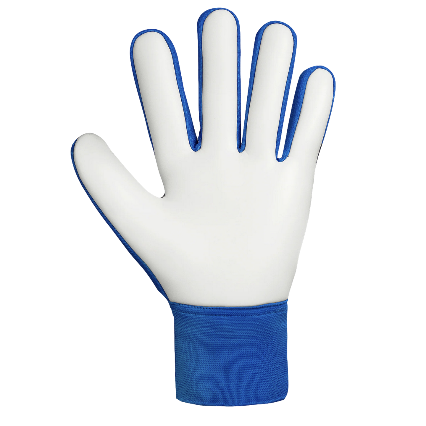 Reusch Attrakt Starter Solid Goalkeeper Gloves 5570514-4467