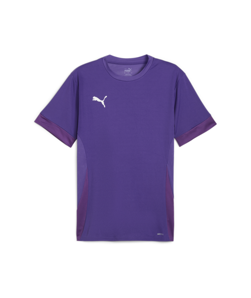 Puma Youth Teamgoal Matchday Jersey - Purple 705748-10