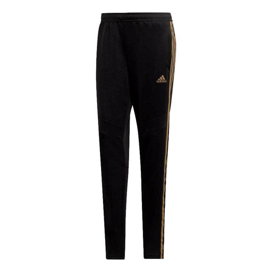 Adidas Tiro 19 Womens Pants