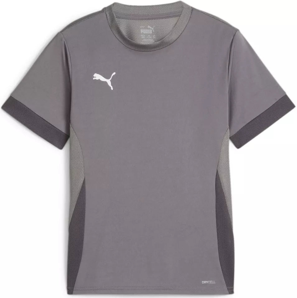 Puma TeamGoal Matchday Youth Jersey - Grey [GRAY] 705748-13