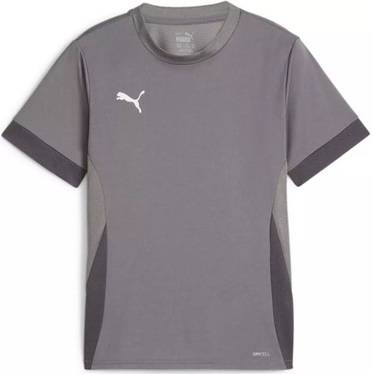 Puma TeamGoal Matchday Youth Jersey - Grey [GRAY] 705748-13
