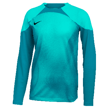 Nike Youth Dri-Fit Advantage Gardien 4 LS Goalkeeper Jersey - Turquoise