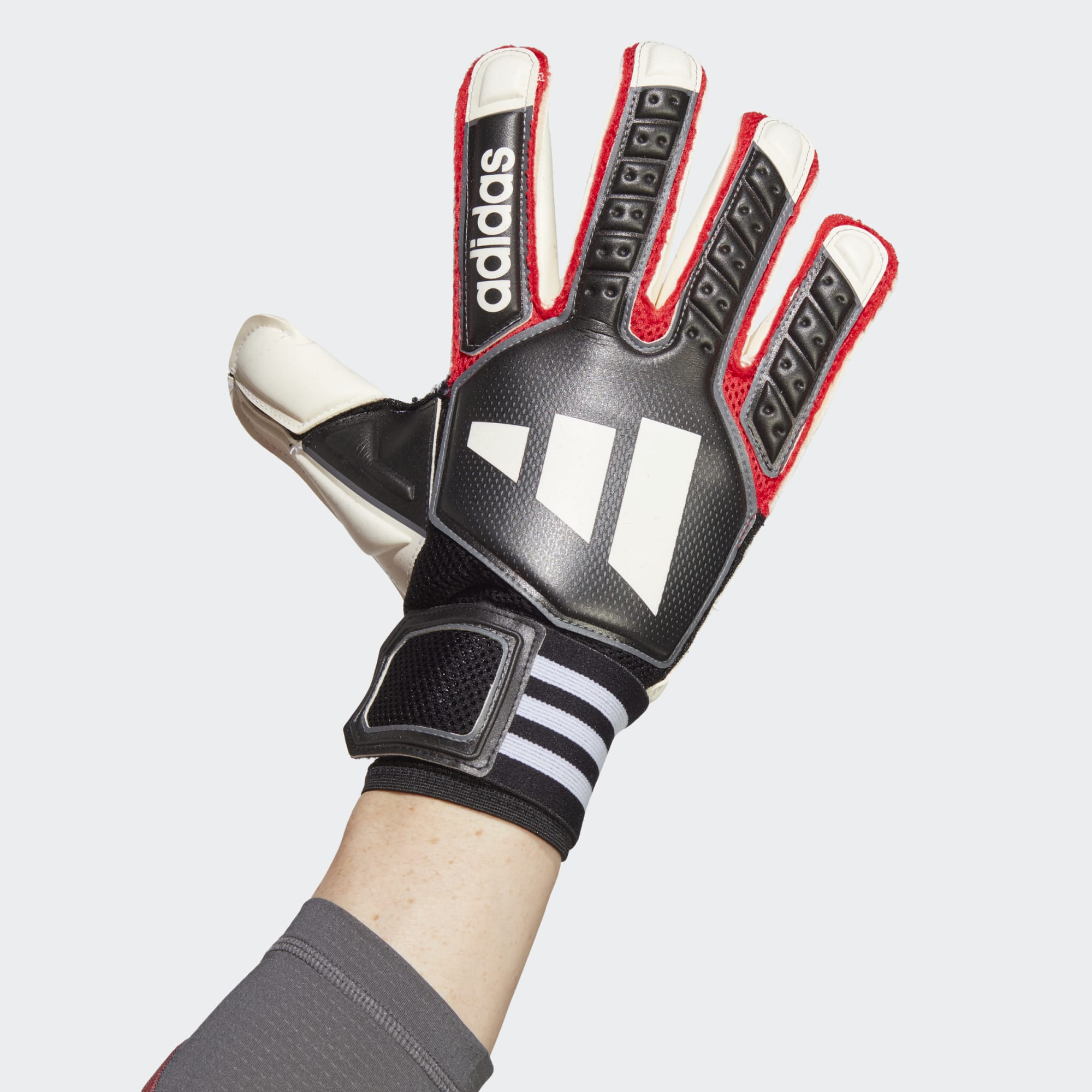 Puma goalkeeper gloves  Current models and special offers