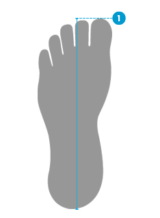 Measure your heel-toe length to determine your correct shoe size.
